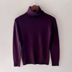 Elegant Burgandy Turtleneck Sweater